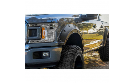 Арки Ford F150 2017-2020