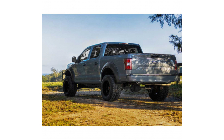 Арки Ford F150 2017-2020