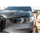 Фары передние BMW X5 G05 2023-2025