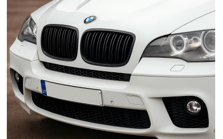 Решетка радиатора BMW X6 (E71)