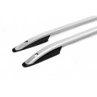 Рейлинги Ford Custom