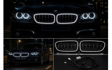 Решетка радиатора BMW 5 (F10)
