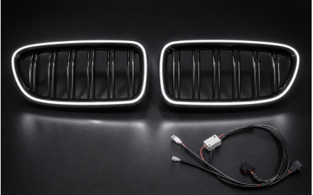 Решетка радиатора BMW 5 (F10)
