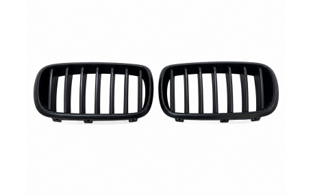 Решетка радиатора BMW X5 (F15)
