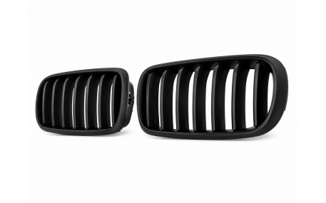 Решетка радиатора BMW X5 (F15)