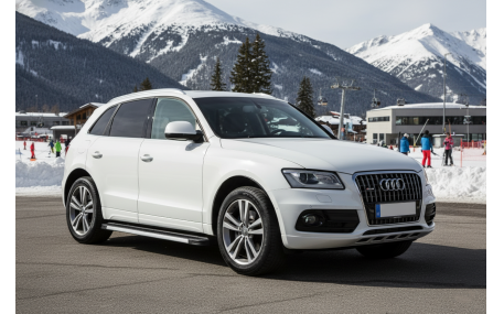 Подножки Audi Q5