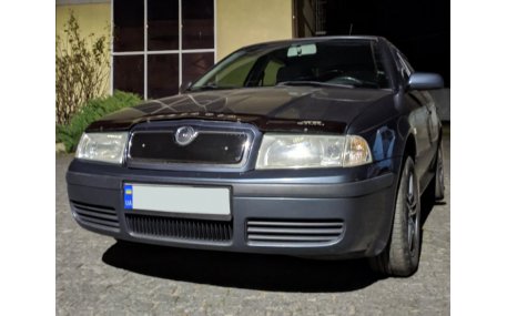 Зимняя накладка на решетку Skoda Octavia Tour