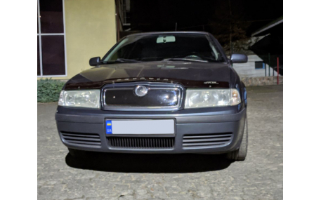 Зимняя накладка на решетку Skoda Octavia Tour