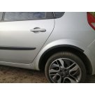 Арки Renault Scenic