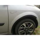 Арки Renault Scenic