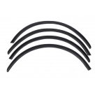 Арки Renault Scenic