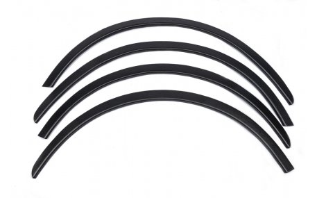 Арки Renault Scenic