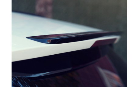 Спойлер BMW X5 F15