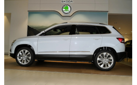Хром накладки Skoda Karoq