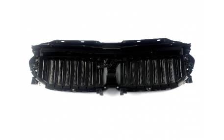 Решетка радиатора BMW 5 G30 2016-2020