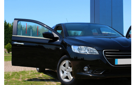 Хром накладки Peugeot 301