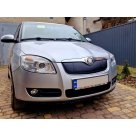 Зимняя накладка на решетку Skoda Roomster