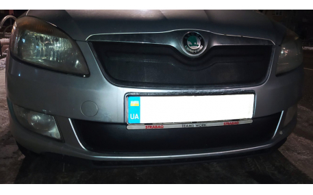 Зимняя накладка на решетку Skoda Fabia