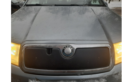 Зимняя накладка на решетку Skoda Fabia