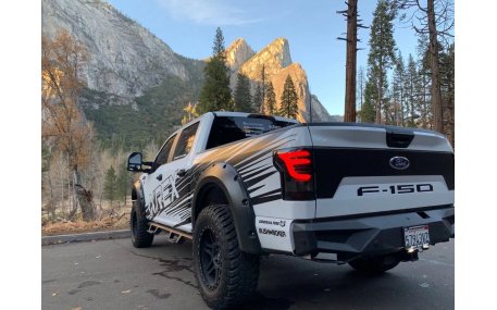 Фонари задние Ford F150