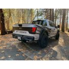 Фонари задние Ford F150