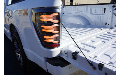 Фонари задние Ford F150