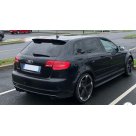Спойлер Audi A3 8P