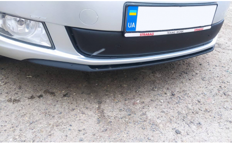 Зимняя накладка на решетку Skoda Fabia