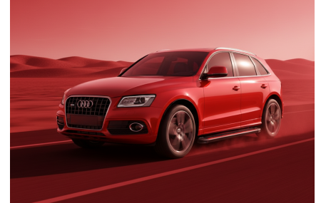 Подножки Audi Q5