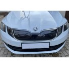 Зимняя накладка на решетку Skoda Octavia A7