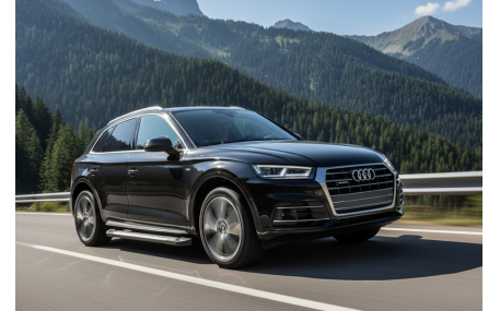 Подножки AUDI Q5