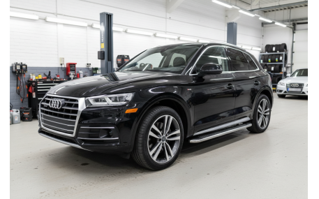 Подножки Audi Q5