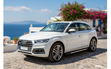 Подножки AUDI Q5