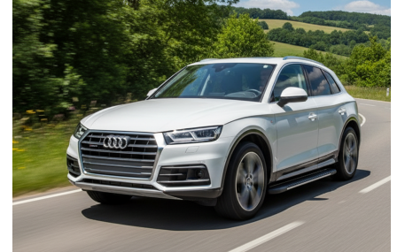 Подножки AUDI Q5