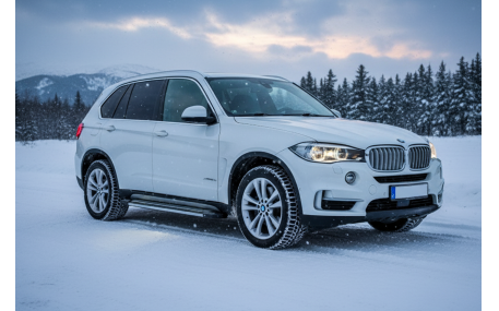 Подножки BMW X5 F15