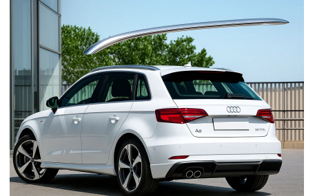 Рейлинги Audi A3