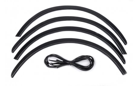 Арки Renault Scenic