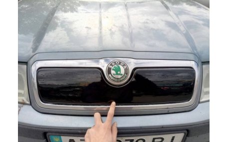 Зимняя накладка на решетку Skoda Octavia Tour