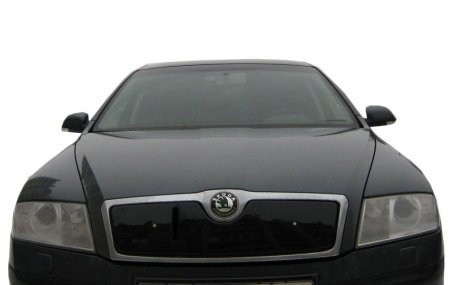 Зимняя накладка на решетку Skoda Octavia A5