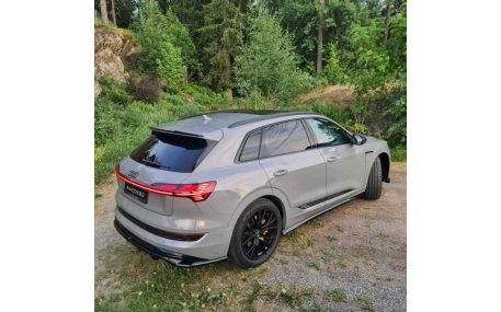 Пороги Audi E-Tron