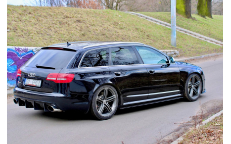 Пороги Audi A6 C6