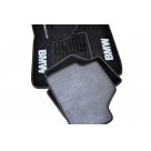 Коврики в салон BMW X1 E84