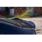 Спойлер BMW X4 (G02)