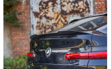 Спойлер BMW X4 (G02)