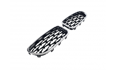 Решетка радиатора BMW 5 (F10)