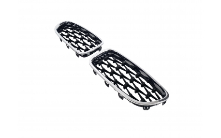 Решетка радиатора BMW 5 (F10)