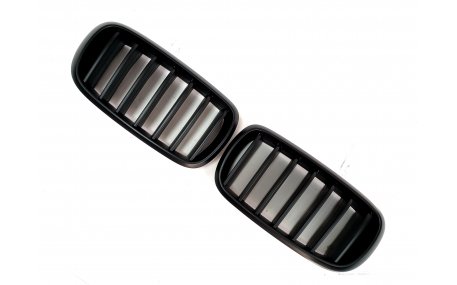 Решетка радиатора BMW X5 (F15)