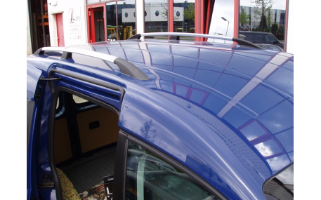 Рейлинги Ford C-Max