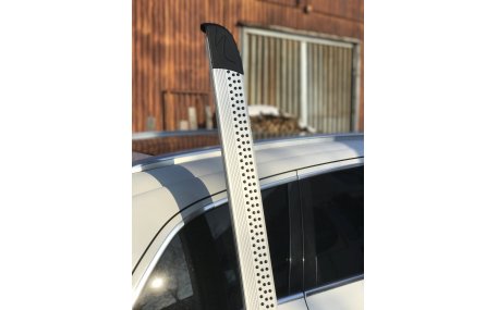 Подножки Toyota RAV4