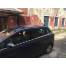 Рейлинги Ford Grand C-Max
